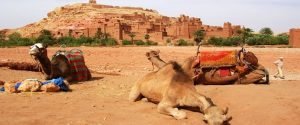 Ait Ben-Haddou Day Tour