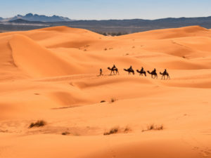 4 Days desert tour From Fes to Marrakech