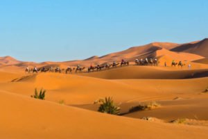 3 Nights Camel Trek in Merzouga desert Sahara